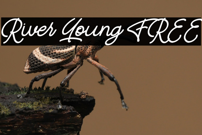 River Young FREE Example 3