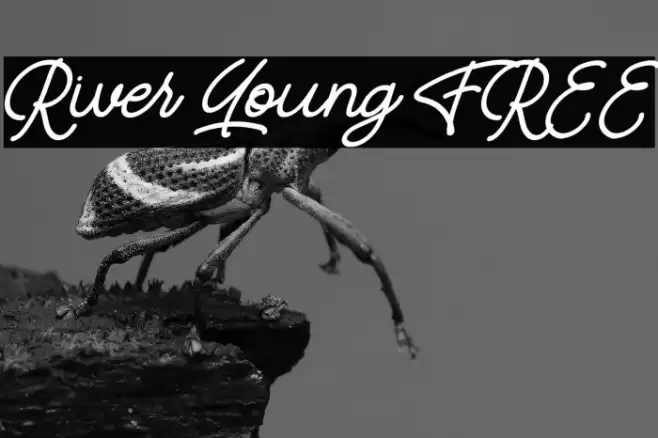 River Young FREE Font examples