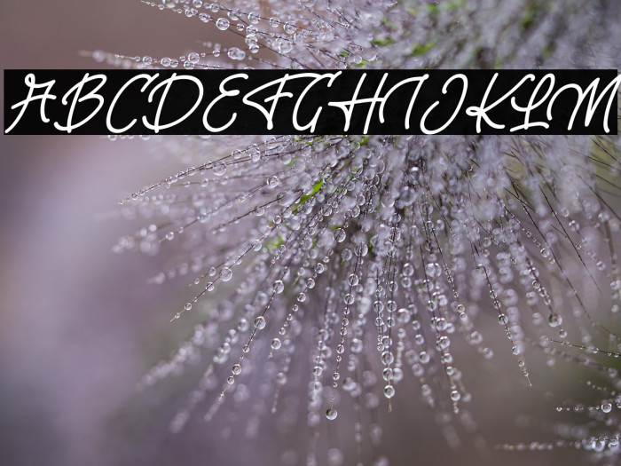 RiverYoungFREE Example 1