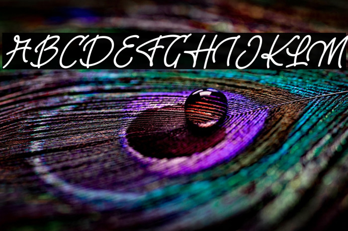 RiverYoungFREE Example 3