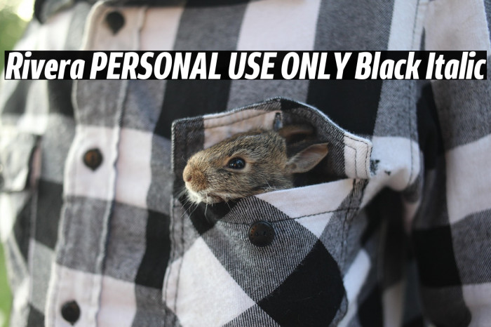 Rivera PERSONAL USE ONLY Black Italic Example 2