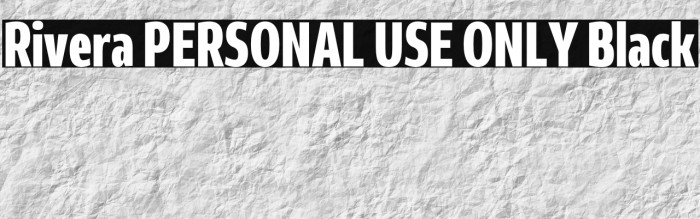 Rivera PERSONAL USE ONLY Black Example 2