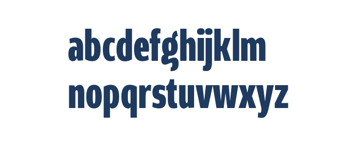 Rivera PERSONAL USE ONLY Black Lowercase