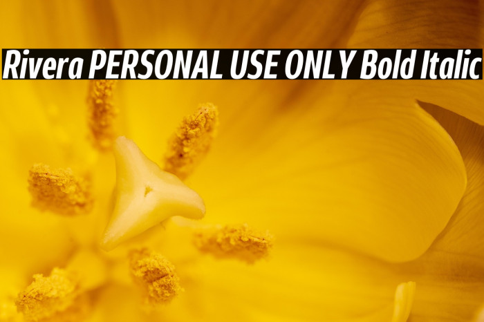 Rivera PERSONAL USE ONLY Bold Italic Example 2