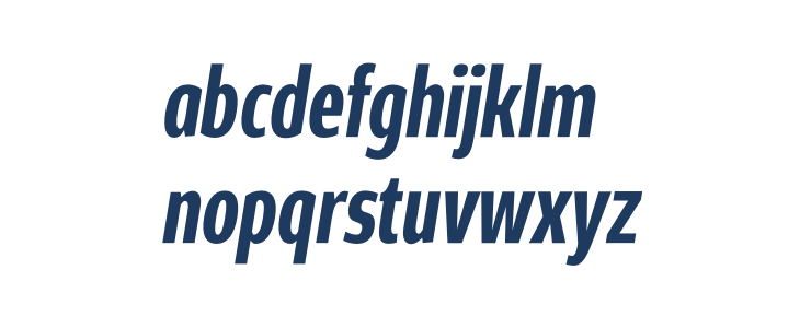 Rivera PERSONAL USE ONLY Bold Italic Lowercase