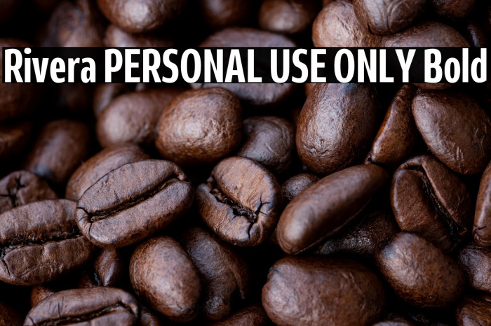 Rivera PERSONAL USE ONLY Bold Example 3