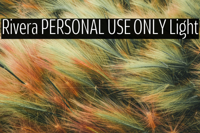 Rivera PERSONAL USE ONLY Light Example 2