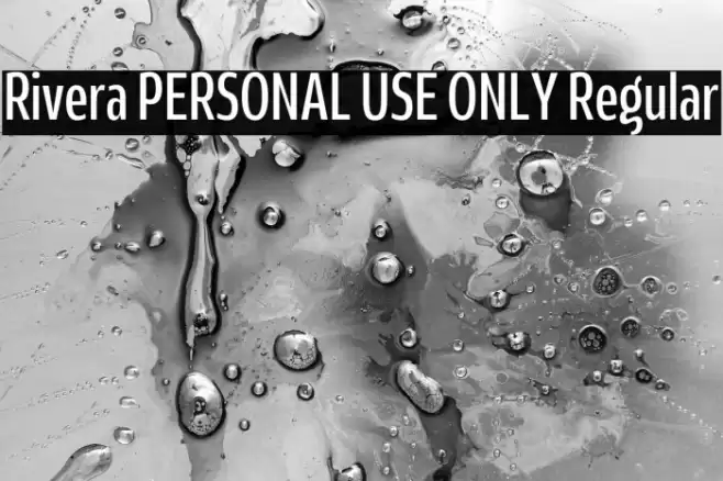 Rivera PERSONAL USE ONLY Regular Font examples