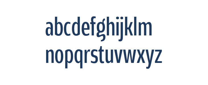 Rivera PERSONAL USE ONLY Regular Lowercase