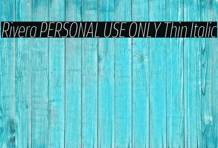 Rivera PERSONAL USE ONLY Thin Italic Example 1