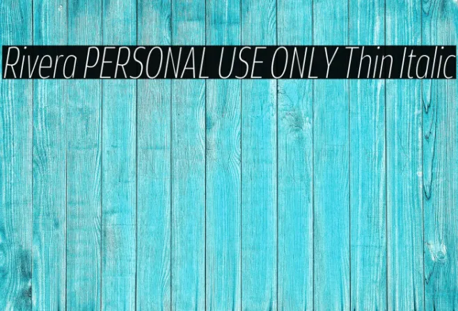 Rivera PERSONAL USE ONLY Thin Italic Example 1