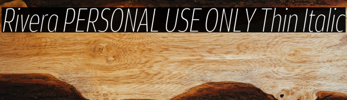 Rivera PERSONAL USE ONLY Thin Italic Example 3