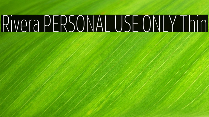 Rivera PERSONAL USE ONLY Thin Example 2