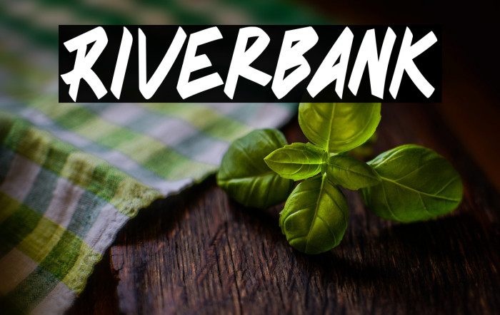Riverbank Example 2