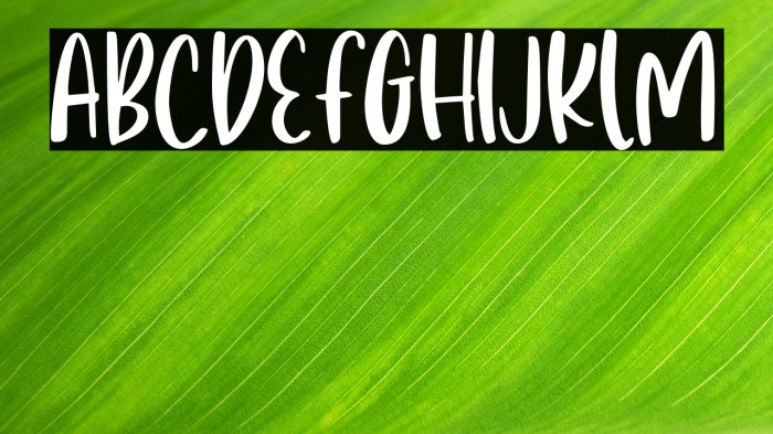 Riveria-Regular Example 2