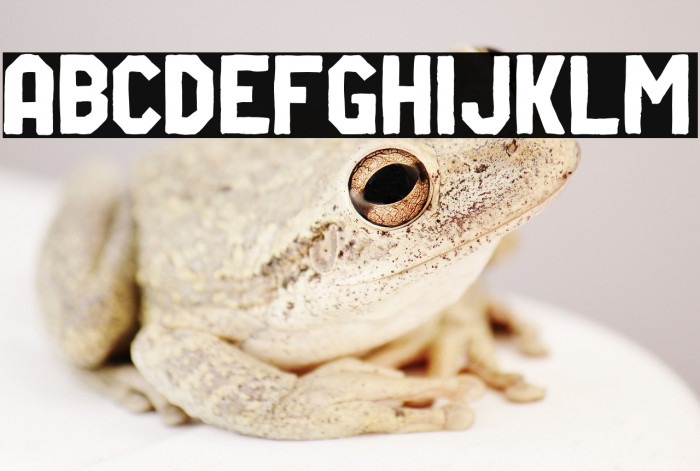 Riverside Sans Example 2