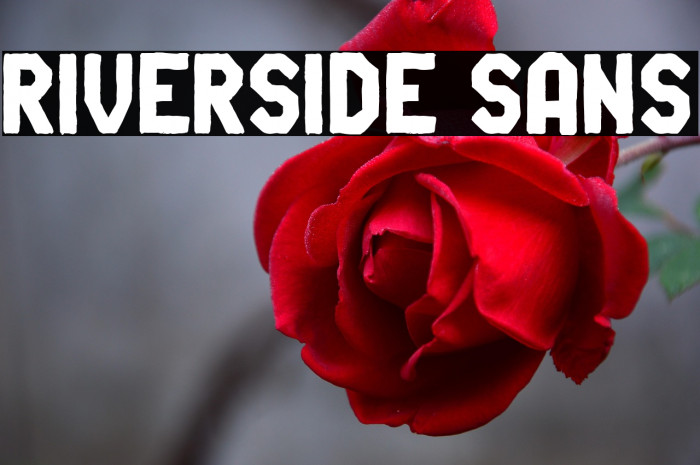 Riverside Sans Example 1