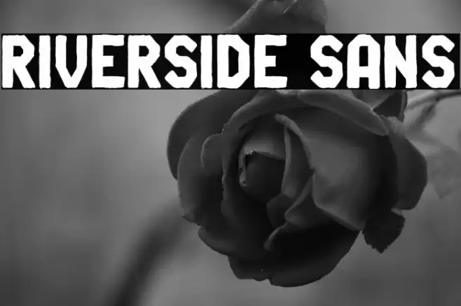 Riverside Sans Font examples