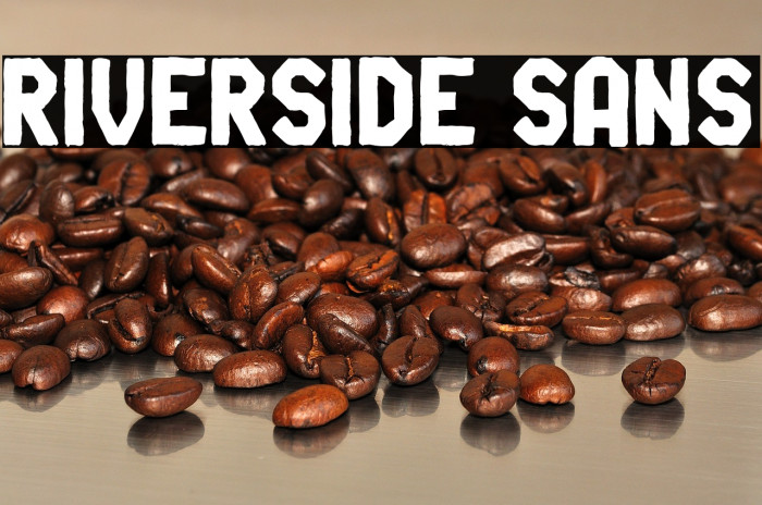 Riverside Sans Example 2