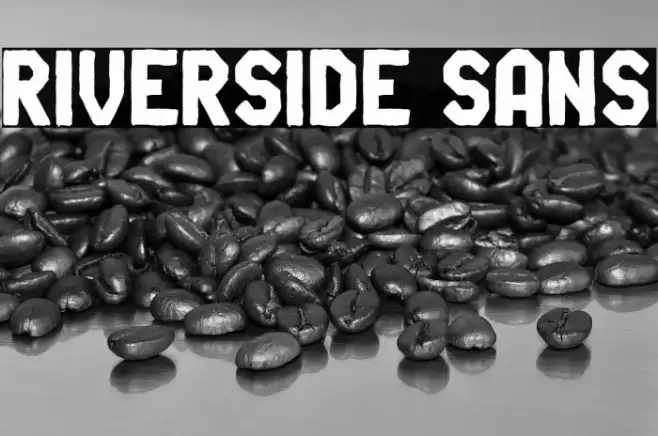 Riverside Sans Font examples