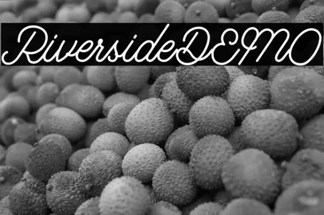 RiversideDEMO Font examples