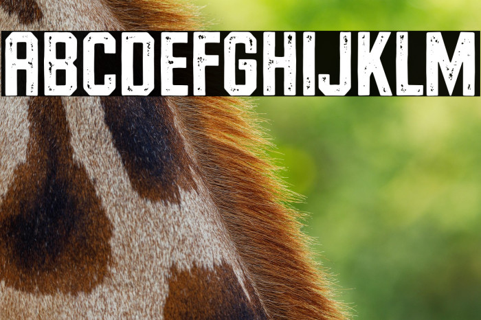 RiversideForestStampDemo Example 1