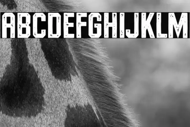 RiversideForestStampDemo Font examples