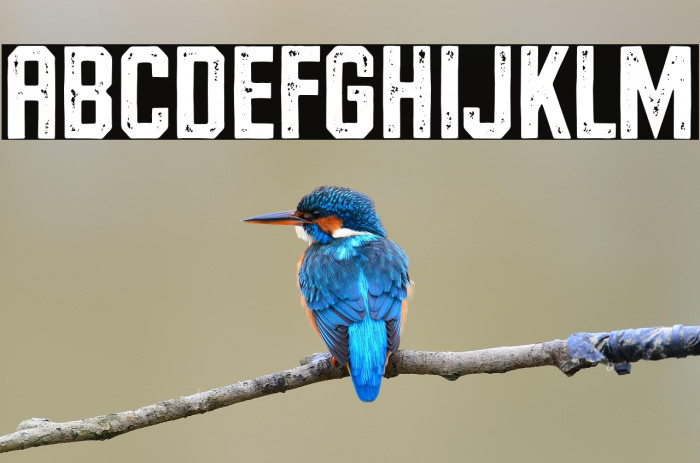 RiversideForestStampDemo Example 2