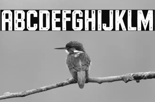 RiversideForestStampDemo Font examples