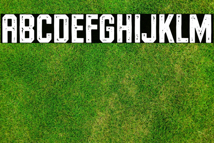 RiversideForestStampDemo Example 3