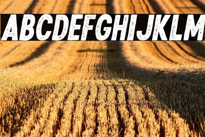 RiversideTexture-Italic Example 1