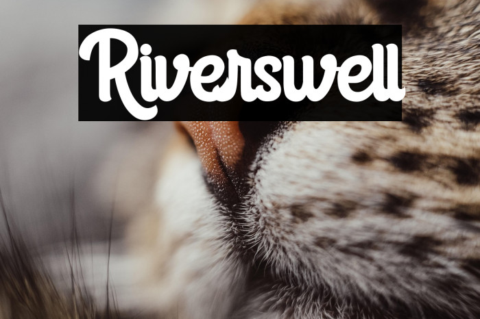 Riverswell Example 2