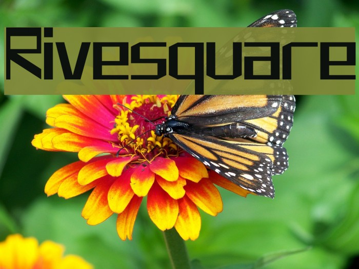 Rivesquare Example 1