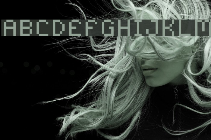 Rix Font examples