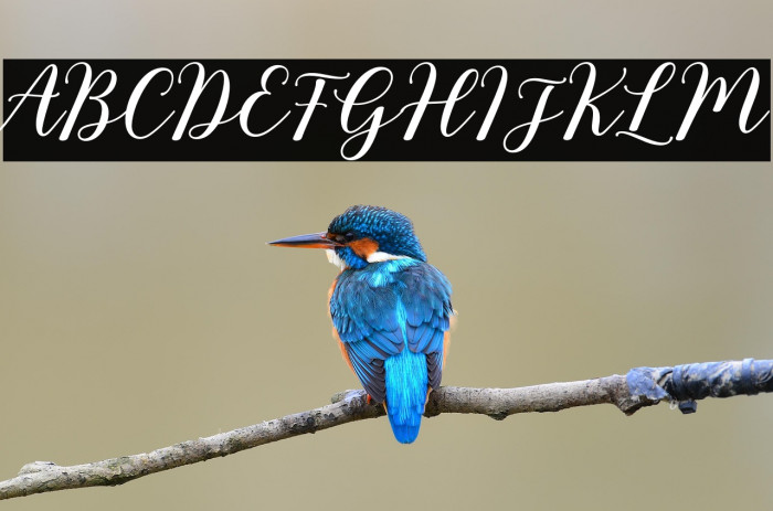 RixilineScript Example 3