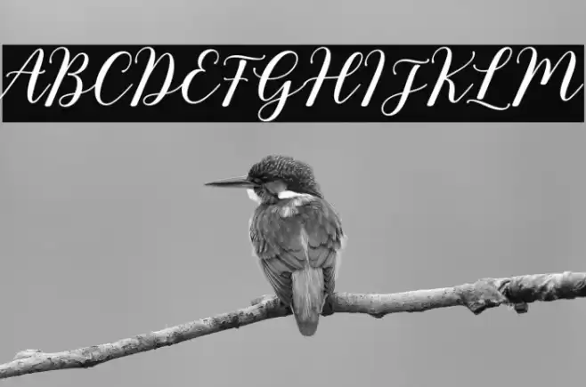 RixilineScript Font examples