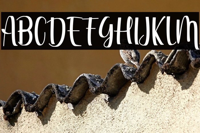 Riyan James Example 2