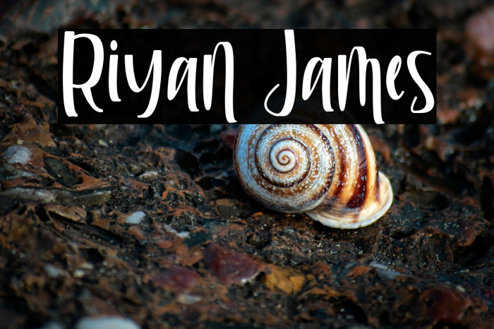 Riyan James Example 2