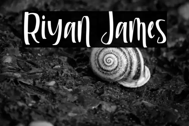 Riyan James Font examples