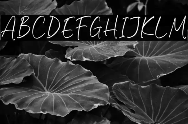 Riyanthy Selafina Caratteri examples