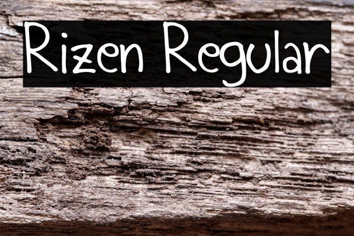 Rizen Regular Example 2