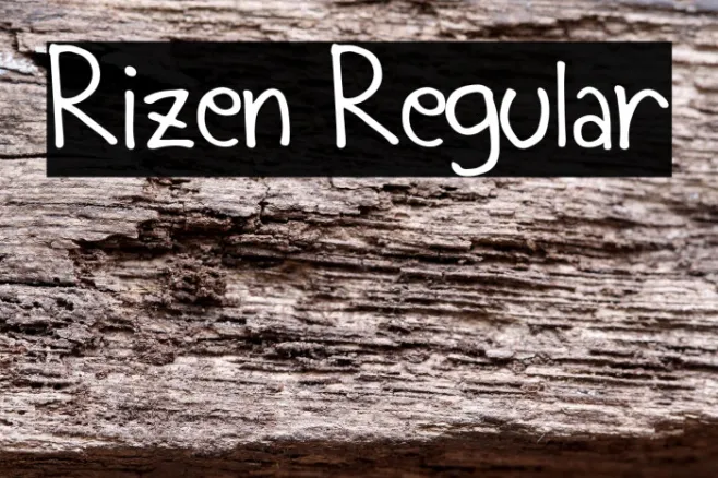Rizen Regular Example 2