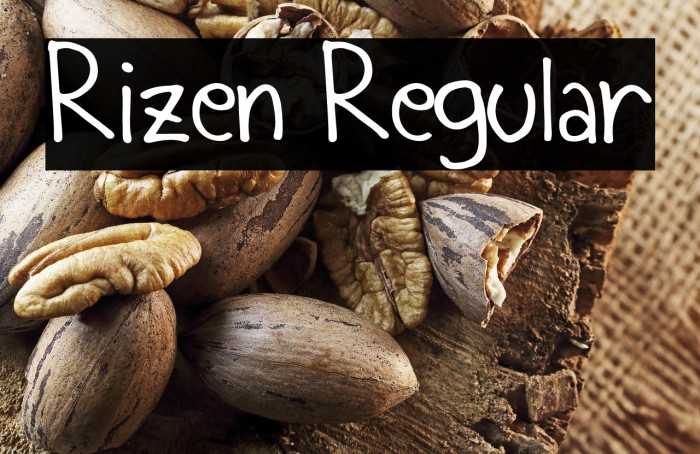 Rizen Regular Example 3