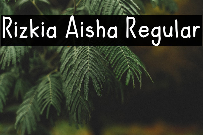Rizkia Aisha Regular Example 3