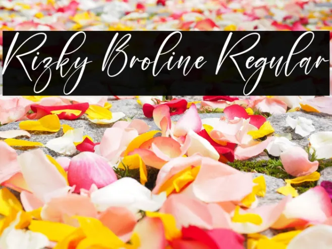 Rizky Broline Regular Example 3