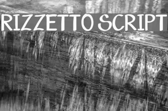 Rizzetto Script Fuentes examples
