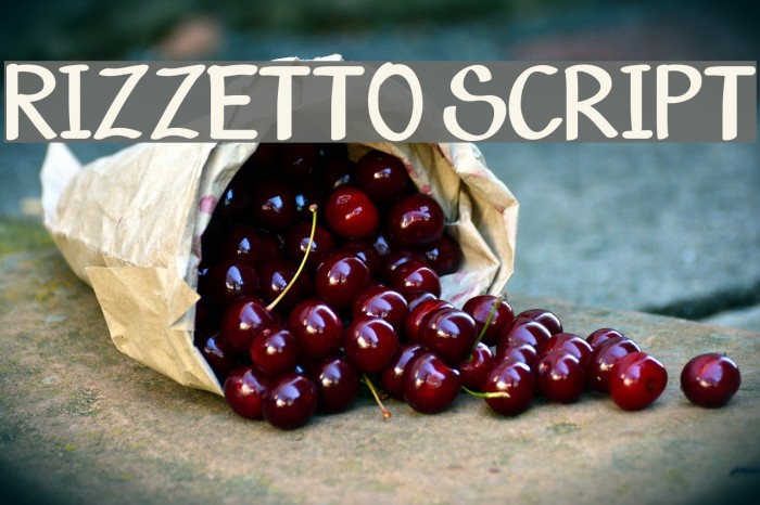 Rizzetto Script Fuentes examples