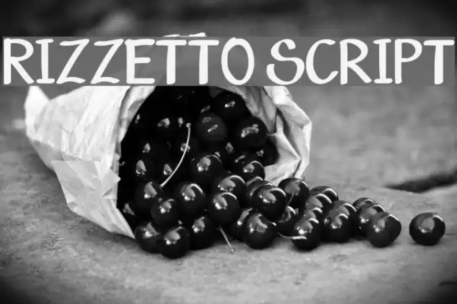 Rizzetto Script Fuentes examples