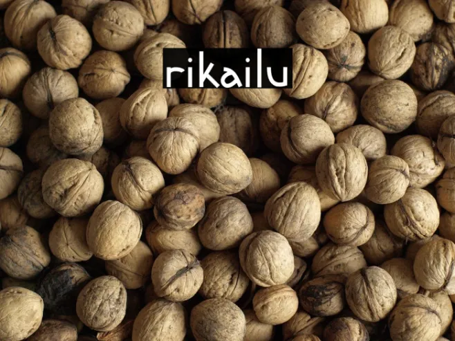 rikailu Example 1