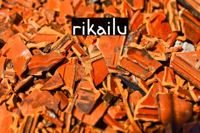 rikailu Example 2